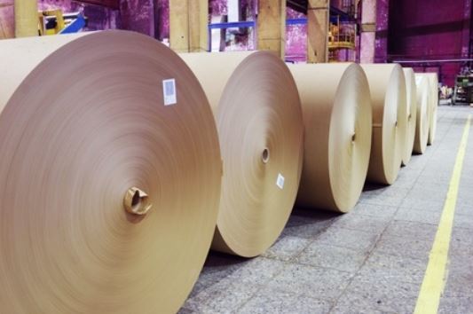 Pulp and Paper Machine